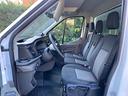 ford-transit-cella-frigo