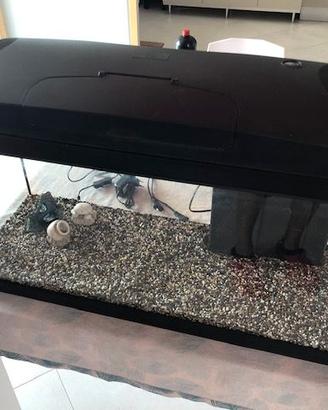 Acquario 80L