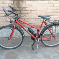 Mountain Bike cambio shimano