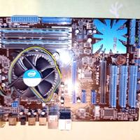 Scheda madre Asus P7P55-LX