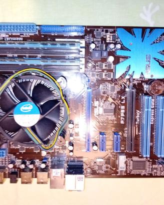 Scheda madre Asus P7P55-LX