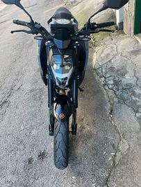 Cf moto 300nk (nuova)