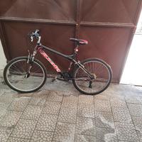 MTB ATALA