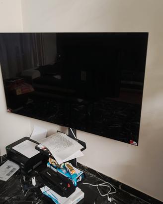 tv LG oled 55 c2 schermo rotto
