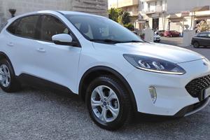 Ford Kuga 1.5 EcoBlue 120 CV aut. 2WD Titanium Bus