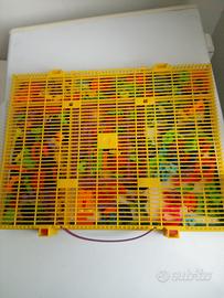 lavagna magnetica magnetona quercetti valigetta 