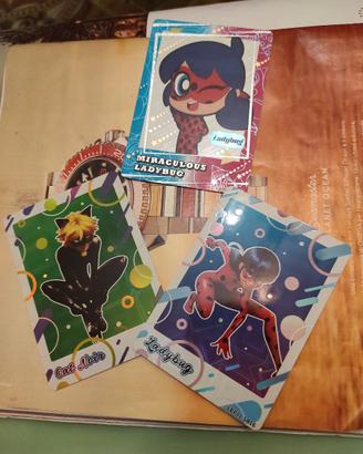 Miraculous ladybug card carte chat noir