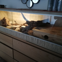 Teca professionale 150x40hx50