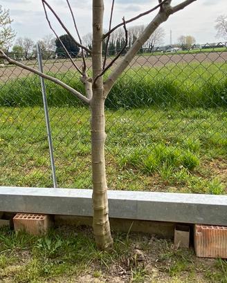 Profilato 15x15 zincato