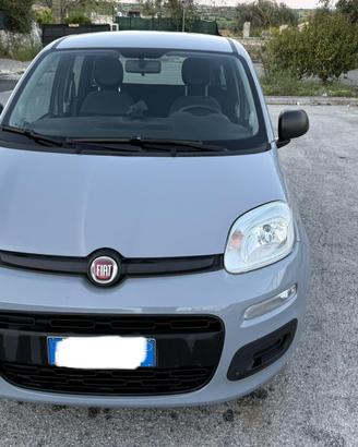 Fiat Panda 1.2 benzina 12/2020 km 30000