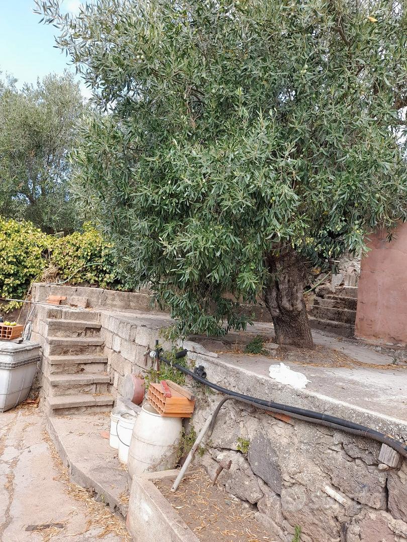 Terreno agricolo - Vista 2