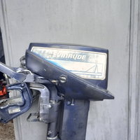 Motore evinrude