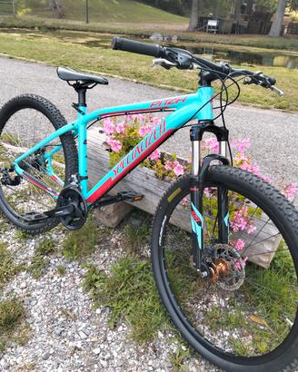 MTB specialized pitch 27,5
