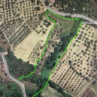 Terreno con due ruderi