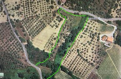 Terreno con due ruderi