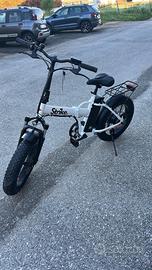 Fat bike
