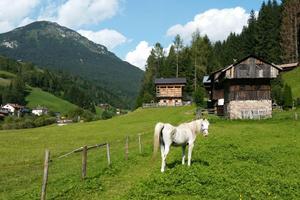 Vacanze ferragostiane in Valcomelico vivi in un ri
