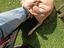 Immagine 4