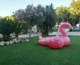 PARADISO FRONTE MARE - dal 9 Settembre