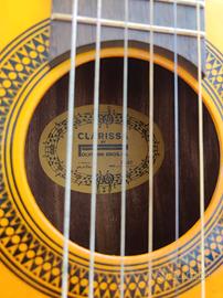 Chitarra Clarissa mod p-20