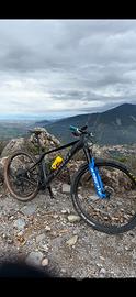 MTB 29
