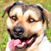 Pablo dolce affettuoso tenero e pieno d amore