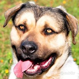 Pablo dolce affettuoso tenero e pieno d amore