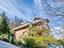 Immagine 7