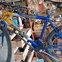 BICI MTB 26 POLLICI
