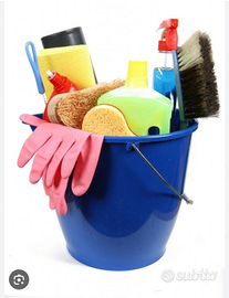 Addetta alle pulizie è stiro