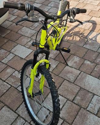 mtb bambino