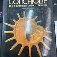 Conchiglie 4000 esemplari da tutto il mondo
