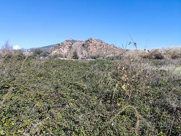 Fondo agricolo agro di Lotzorai
