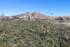 Fondo agricolo agro di Lotzorai