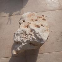 pietre da giardino 