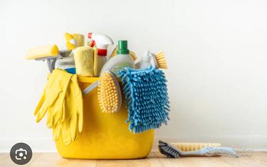 impiego  pulizie domestiche