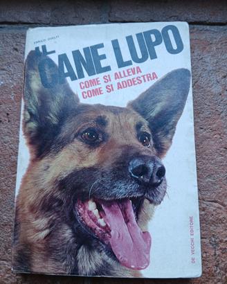 il cane lupo libro vintage 1968