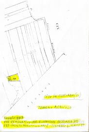 Terreno zona "Case Vecchie"