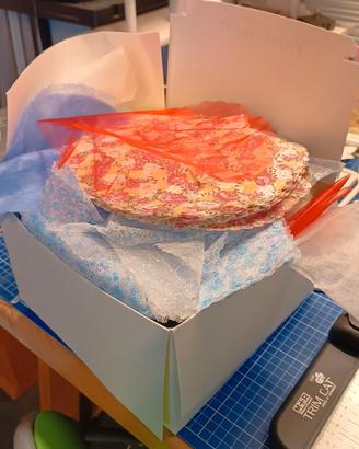 Lotto di tulle vari tondo o quadrati