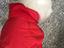 Immagine 6