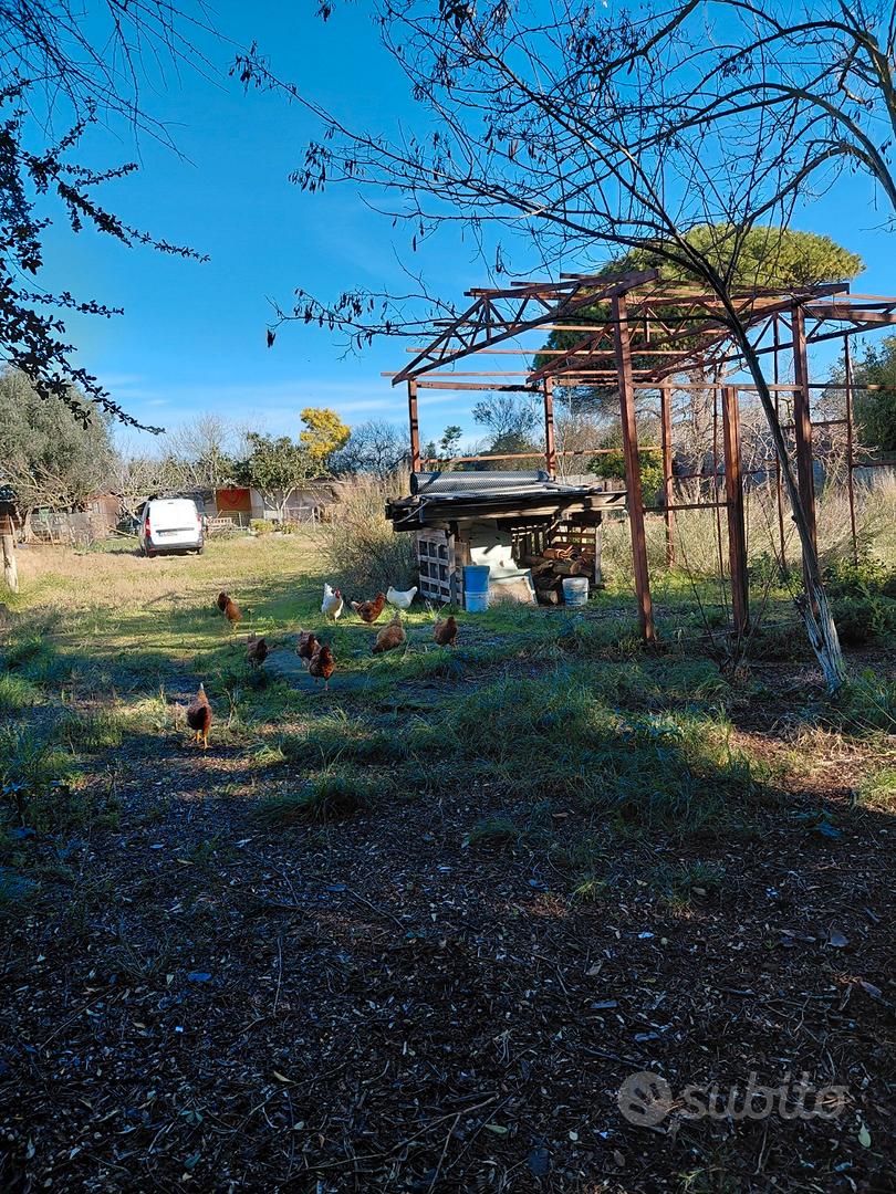 Terreno edificabile - Vista 3