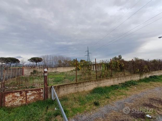 Terreno agricolo Acerra-Cancello