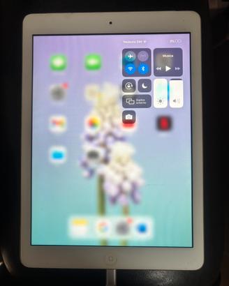 Ipad Air 16 GB (WiFi+cellular)