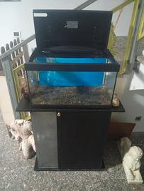 acquario 60 litri