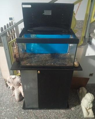 acquario 60 litri