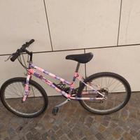 Montanbike Liotto