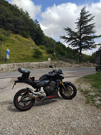 Honda Hornet 600 2008