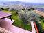 Immagine 24
