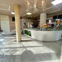 ATTIVITÀ A REGGIO NELL'EMILIA