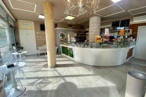 ATTIVITÀ A REGGIO NELL'EMILIA